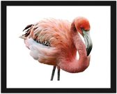 Foto in frame Roze flamingo, 3 maten, Premium print