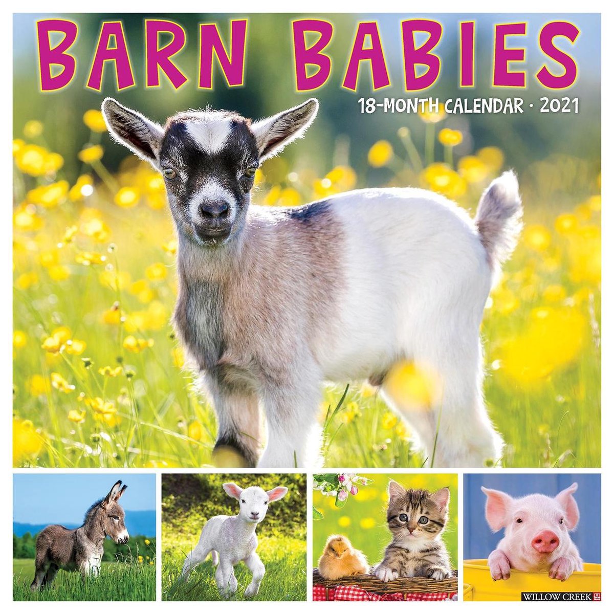 Barn Babies Kalender 2021