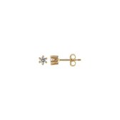 Favs dames  8 karaat geelgoud 2 Zirkonia One Size 85765973