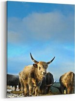 Schilderij - Cows — 60x90 cm