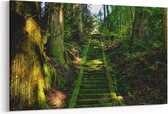 Schilderij - Trap in het bos — 100x70 cm