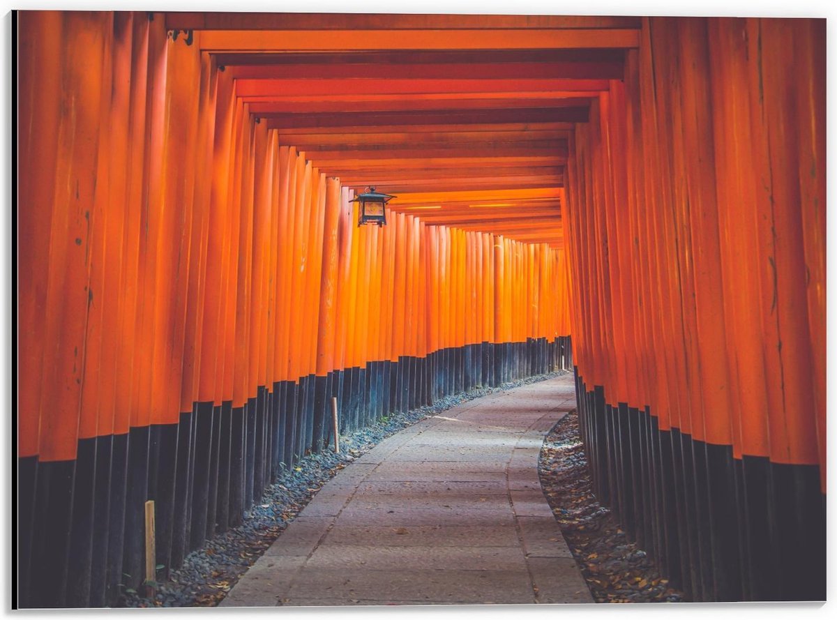 Dibond - Gang van Oranje Palen - 40x30cm Foto op Aluminium (Met Ophangsysteem)