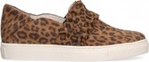 Van Dalen  - Instapper Suede - Leopard - 41