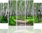 Schilderij , Pad door het bos , Groen grijs ,4 maten , 5 luik , wanddecoratie , Premium print , XXL