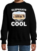 Dieren kudde olifanten sweater zwart kinderen - elephants are serious cool trui - cadeau olifant/ olifanten liefhebber 5-6 jaar (110/116)