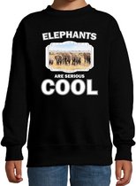 Dieren kudde olifanten sweater zwart kinderen - elephants are serious cool trui - cadeau olifant/ olifanten liefhebber 12-13 jaar (152/164)