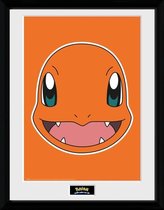 Pokemon: Charmander Face 30 X 40 Collector Print