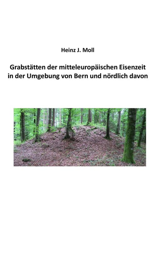 Grabstätten der mitteleuropäischen Eisenzeit in der Umgebu ... - cover