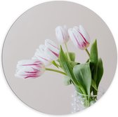 Dibond Wandcirkel - Vaasje met Witte/Roze Tulpen - 100x100cm Foto op Aluminium Wandcirkel (met ophangsysteem)