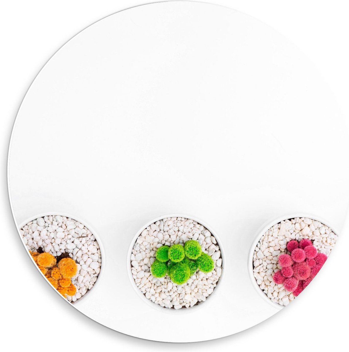 Forex Wandcirkel - Gekleurde Cactuspotjes - 50x50cm Foto op Wandcirkel (met ophangsysteem)