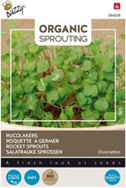 Buzzy® Organic Sprouting Rucolakers (BIO)