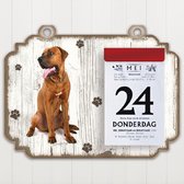 Scheurkalender 2023 Hond: Tosa