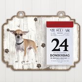 Scheurkalender 2022 Hond: Chihuahua kort haar