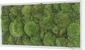 Stylegreen Verticale tuin - Pole moss - 57 x 27 cm