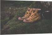 Dibond - Wandelschoenen bij een Boom met Mok  - 120x80cm Foto op Aluminium (Met Ophangsysteem)