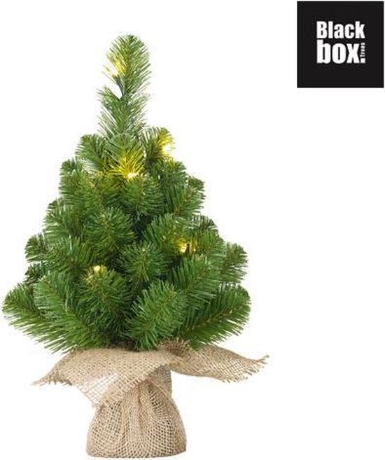 Sapin de Noël artificiel Black Box Norton - 60 cm - avec toile de jute - vert - 20 lumières LED blanc chaud