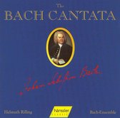 Bach Cantata, Vol. 49