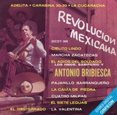 Revolucion Mexicana, Vol. 1