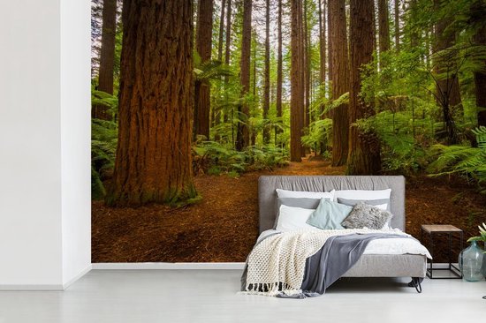 Fotobehang Redwood - van een bos Redwood fotobehang vinyl breedte... | bol.com
