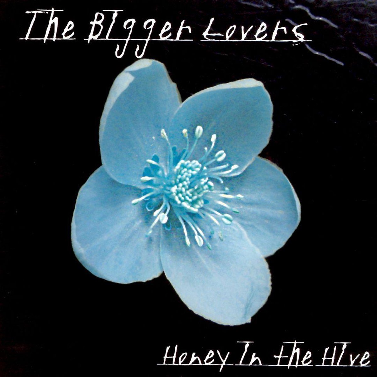 Bigger Lovers - Honey In The Hive