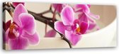 Schilderij Roze Orchidee, 120x40cm, roze/beige