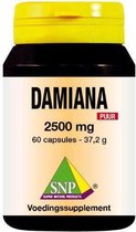SNP Damiana extract 2500 mg puur 60 capsules