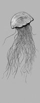 Komar Jellyfish Vlies Fotobehang 100x250cm 1-baan