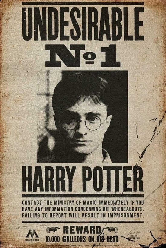 GBeye Harry Potter Undesirable No 1 Poster 61x91.5cm | bol.com