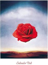 Salvador Dali - Tirage d'art méditatif rose 60x80cm