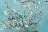 Fotobehang - van Gogh Almond Blossom 384x260cm - Vliesbehang