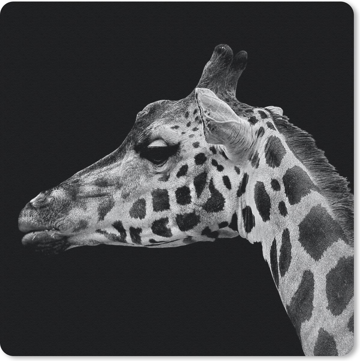 Muismat 30x30 cm - Mousepad Dieren - Giraffe - Zwart - Wit - Muismatten