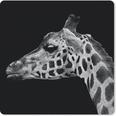 Muismat - Mousepad - Dieren - Giraffe - Zwart - Wit - 30x30 cm - Muismatten