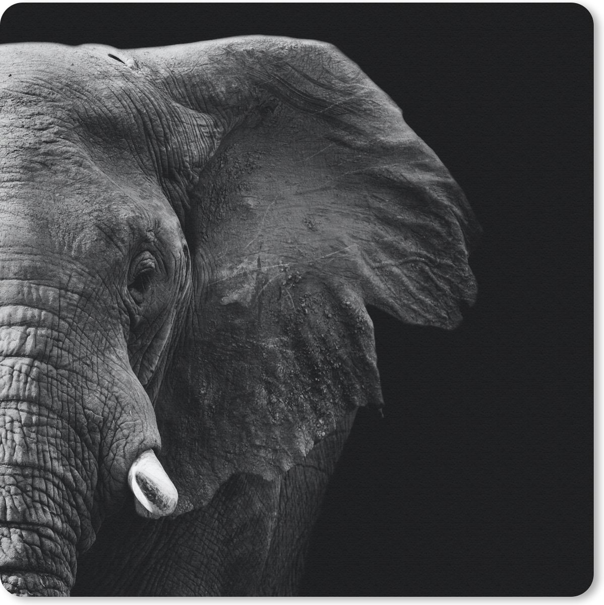 Muismat 30x30 cm - Mousepad Dieren - Olifant - Wild - Zwart - Wit - Muismatten