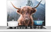 Spatscherm keuken 100x65 cm - Kookplaat achterwand Schotse hooglander - Koe - Dieren - Berg - Natuur - Muurbeschermer - Spatwand fornuis - Hoogwaardig aluminium