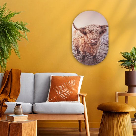 Ovale Mural - Décoration murale Plastique - Peinture Ovale - Highlanders écossais - Neige - Soleil - 40x60 cm - Forme miroir ovale sur plastique