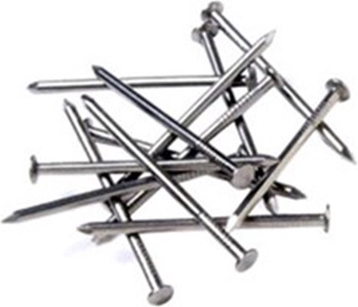 DQ stalen nagel 2.5x50mm ck (100st)