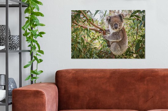 Koala dans un arbre Toile 80x60 cm - Tirage photo sur toile (Décoration murale salon / chambre) / Peintures sur toile Animaux