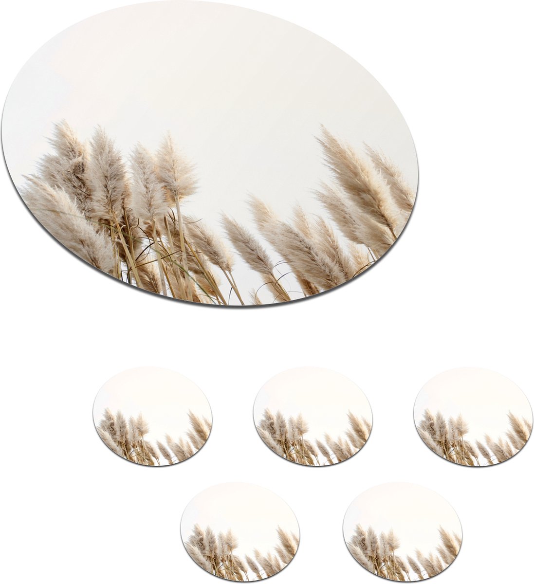 Onderzetters voor glazen - Rond - Graan - Lucht - Pastel - 10x10 cm - Glasonderzetters - 6 stuks