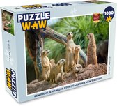 Puzzel Stokstaartjes - Familie - Dieren - Legpuzzel - Puzzel 1000 stukjes volwassenen