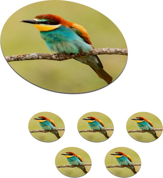Foto: Onderzetters voor glazen rond vogel bijeneter dieren 10x10 cm glasonderzetters 6 stuks