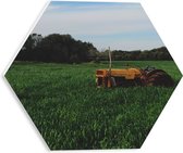 WallClassics - PVC Schuimplaat Hexagon - Gele Trekker in Groen Gras - 30x26.1 cm Foto op Hexagon (Met Ophangsysteem)