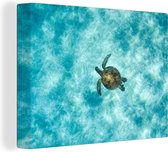 Canvas Schilderij Schildpad in de zee - 40x30 cm - Wanddecoratie