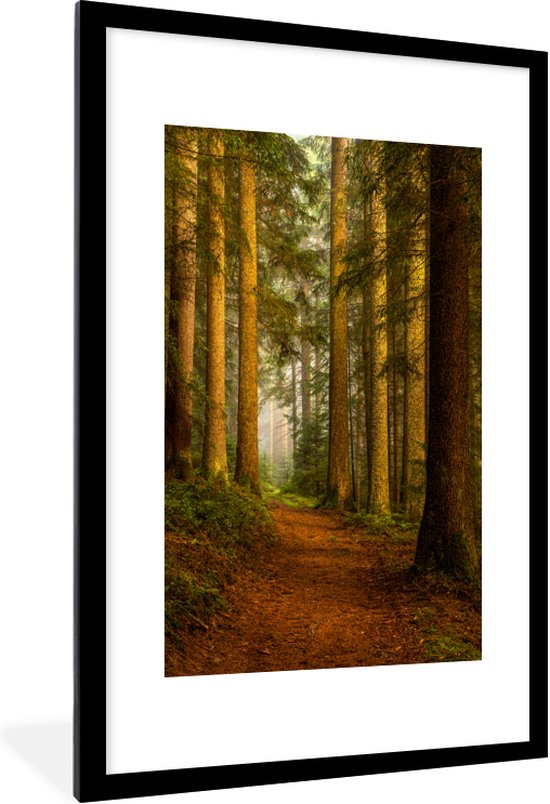 Fotobehang Blauwe hemel en groen gras landschap wallpaper