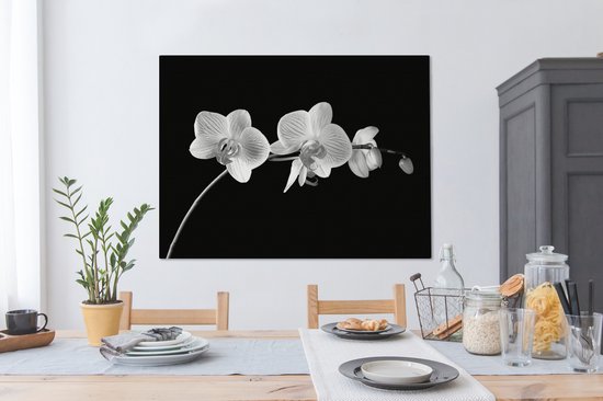 Canvas schilderij 120x90 cm - Wanddecoratie Orchidee - Bloemen - Zwart - Roze - Knoppen - Muurdecoratie woonkamer - Slaapkamer decoratie - Kamer accessoires - Schilderijen op canvas