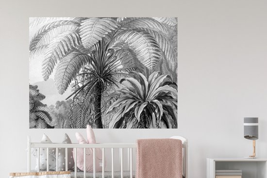 Stickers muraux - Sticker Foil - Plantes - Zwart et Blanc - Design - Illustration - Botanique - 120x90 cm - Film Adhésif - Stickers muraux Chambre Enfant - Papier Peint Auto Adhésif