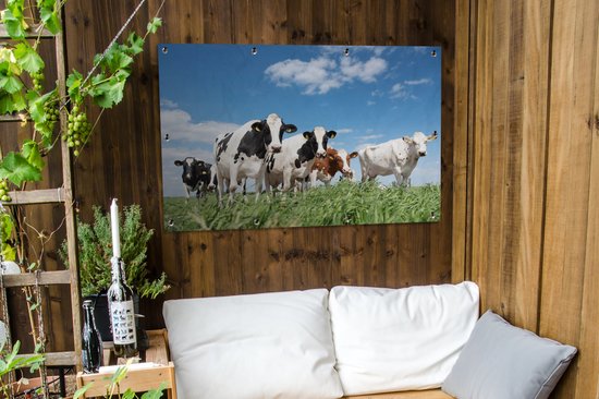Affiche jardin - Toile jardin - Affiches jardin extérieur - Vaches - Campagne - Pâturage - Nature - Animaux - Posters de jardin cm - Jardin