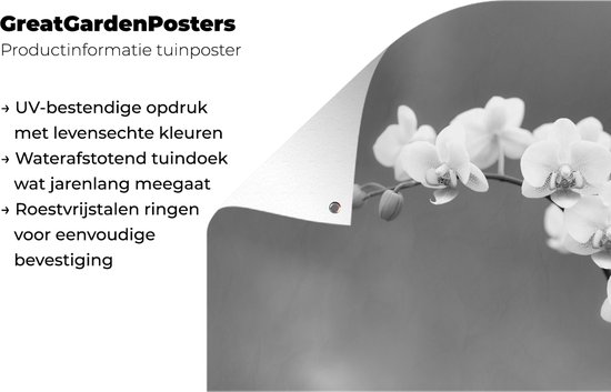 Décoration de jardin Orchidée - Fleurs - Plante - Wit - Violet - 60x40 cm - Poster jardin - Toile jardin - Poster extérieur