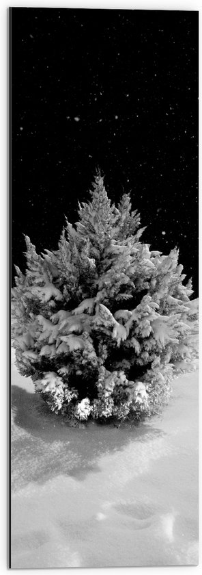 WallClassics - Dibond - Wit Besneeuwde Kerstboom in het Donker - 30x90 cm Foto op Aluminium (Met Ophangsysteem)