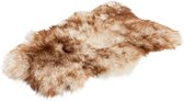 Woolly - Dierenvacht - schaap - mouflon - lang - IJsland
