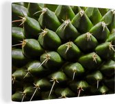 Toile Peinture Motifs Cactus - 40x30 cm - Décoration murale